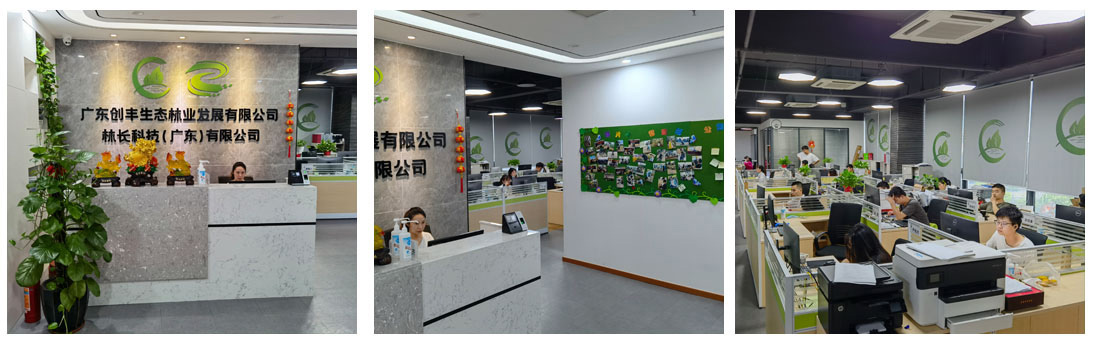 公司環(huán)境66_01.jpg